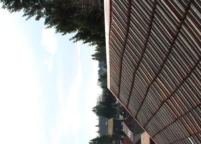 Harz Apartman Benneckenstein